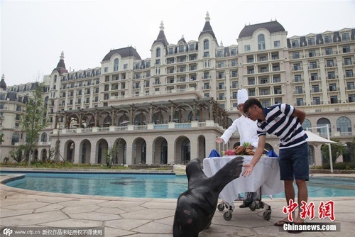 Bao trọn bể bơi khách sạn 5 sao tổ chức sinh nhật cho thú cưng - 1 Vị thiếu gia 8X bạo tay chi số tiền không nhỏ để bao trọn khu bể bơi của khách sạn 5 sao.