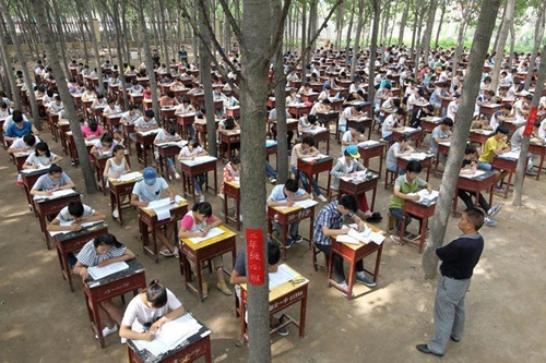 Trường học tổ chức thi cuối kỳ... trong rừng để tránh nóng - 1 Theo hiệu trưởng nhà trường, tổ chức thi trong rừng mang lại nhiều lợi ích cho học sinh.