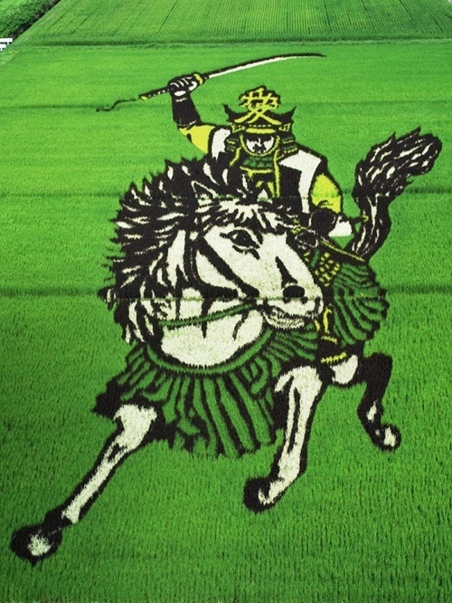 Thán phục những "tác phẩm nghệ thuật" giữa đồng quê - 2 Hoàng đế Napoleon.