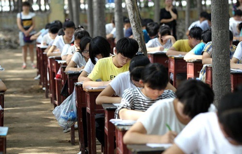 Trường học tổ chức thi cuối kỳ... trong rừng để tránh nóng - 3 Các thầy cô giám thị đứng quan sát học sinh từ xa