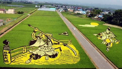 Thán phục những "tác phẩm nghệ thuật" giữa đồng quê - 6 Thậm chí bức tranh ở hai cánh đồng còn có sự liên kết với nhau.