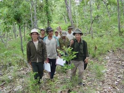 Việt Nam thu 1.200 tỷ đồng phí dịch vụ môi trường rừng mỗi năm - 1 Việt Nam thu 1.200 tỷ đồng phí dịch vụ môi trường rừng mỗi năm