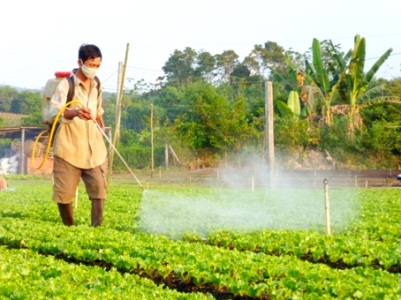 Quá nhiều nông dân tiếp xúc trực tiếp với thuốc bảo vệ thực vật - 2 Nhiều nông dân không có bảo hộ lao động khi phun thuốc BVTV (Ảnh minh họa)