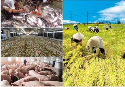Ngành Nông nghiệp: Muốn phát triển phải hội nhập - 2 Bộ trưởng Bộ Nông nghiệp và Phát triển Nông thôn (NN&PTNT) Cao Đức Phát