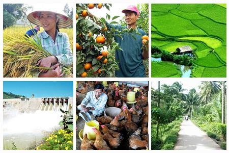 Doanh nghiệp chưa “mặn mà” đầu tư vào xây dựng nông thôn mới - 1 Doanh nghiệp đầu tư vào nông nghiệp - nông thôn còn rất hạn chế (Ảnh minh họa)