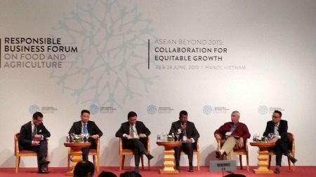 Các đại biểu tham gia thảo luận tại Diễn đàn (Ảnh: N.A)