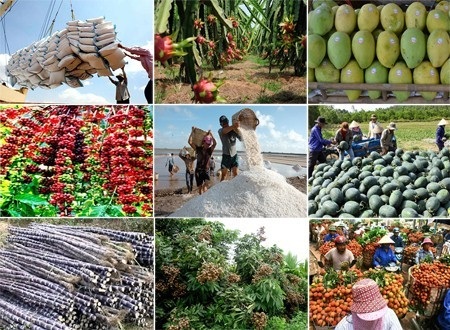 Ba nhóm giải pháp thúc đẩy ngành nông nghiệp 6 tháng cuối năm - 2 Việt Nam đang nỗ lực đang dạng hóa thị trường xuất khẩu nông sản (Ảnh minh họa)