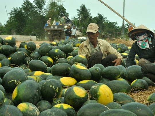 Cần thay đổi tư duy cũ trong đầu tư vào nông nghiệp - 1 Cần thay đổi tư duy cũ trong đầu tư vào nông nghiệp