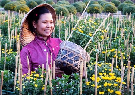 Hoa được mùa, mai được giá, người trồng phấn khởi chờ Tết - 9 (Ảnh: Hoàng Tùng).
