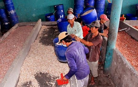 Về làng tôm khô nổi tiếng ở nơi cuối cùng của Tố quốc - 3 Các công đoạn làm tôm khô
