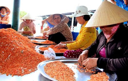 Về làng tôm khô nổi tiếng ở nơi cuối cùng của Tố quốc - 4 Các công đoạn làm tôm khô