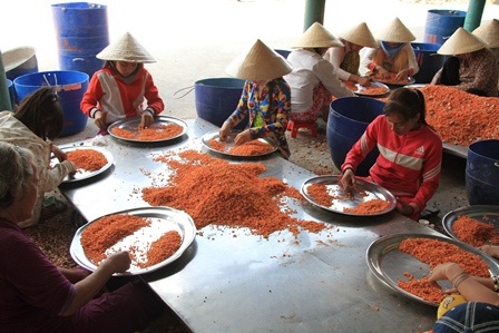 Các công đoạn làm tôm khô