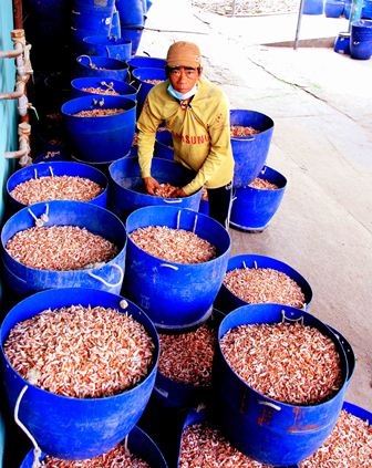 Về làng tôm khô nổi tiếng ở nơi cuối cùng của Tố quốc - 6 Các công đoạn làm tôm khô