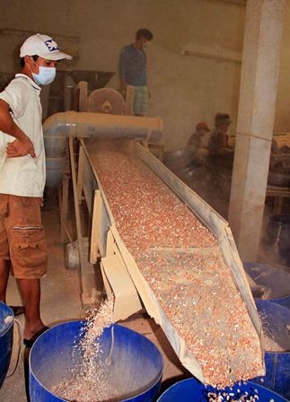 Về làng tôm khô nổi tiếng ở nơi cuối cùng của Tố quốc - 8 Các công đoạn làm tôm khô