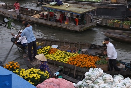 Sắc xuân trên chợ nổi Cần Thơ - 2 Hoa trái, rộn ràng tấp nập cả một đoạn sông dài (ảnh Phạm Khương)