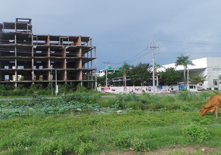 Thị trường bất động sản: Cả nước lên "cơn sốt", Cần Thơ ngồi “ngáp ruồi”! - 6 ...Làm bãi thả trâu bò