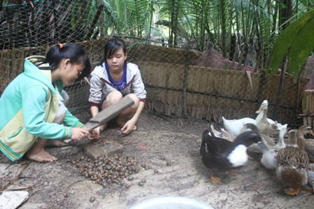 “Mẹ ơi, đừng bỏ con…!” - 4 Hai chị em đang làm ốc cho vịt ăn