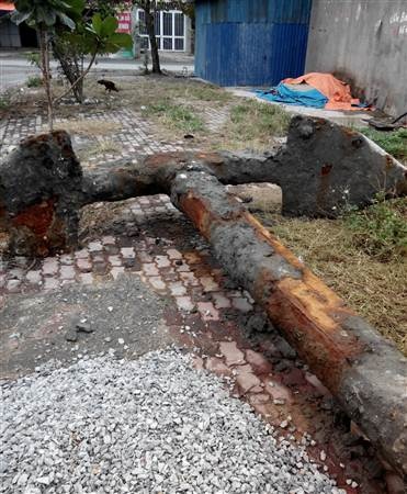 Hiện trạng của mỏ neo khi mới được đưa lên khỏi đáy biển.