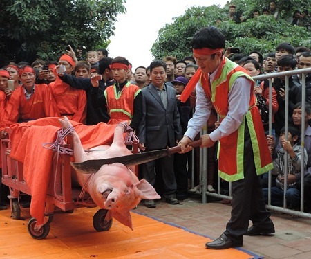 Năm nay lễ hội làng Ném Thượng, Bắc Ninh vẫn giữ nguyên tục Chém lợn giữa sân đình.