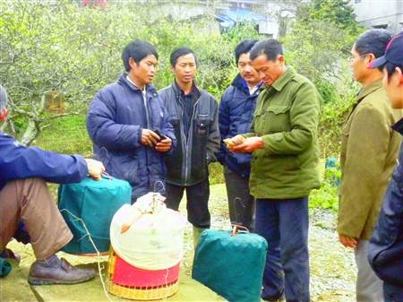 Người mua chọn những con chim
mình yêu thích