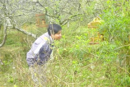 Người mua chọn những con chim
mình yêu thích