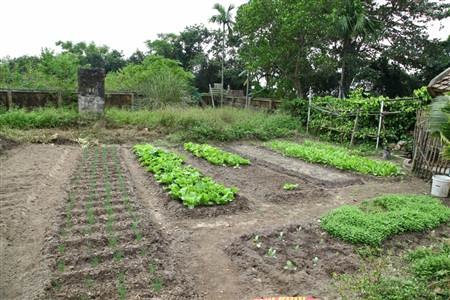 Chị Lê Thị Liên, Trạm khí tượng thủy văn Sa Pa, Lạng Sơn kể về những kỷ niệm với nghề đặc biệt.
