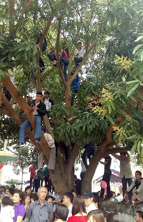 Người dân Ném Thượng vẫn “chém lợn” trong ngày hội làng - 1 Người dân bốn phương đổ xô về Đình Ném Thượng để tận mắt chứng kiến tục chém lợn.