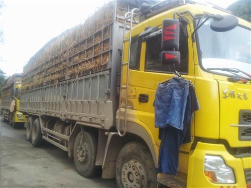 Đủ kiểu mưu sinh “ăn theo mùa” ách tắc dưa hấu tại cửa khẩu - 6 Nhiều lái xe phải sinh hoạt, ăn uống tại chỗ sau nhiều ngày nằm chờ tại cửa khẩu.