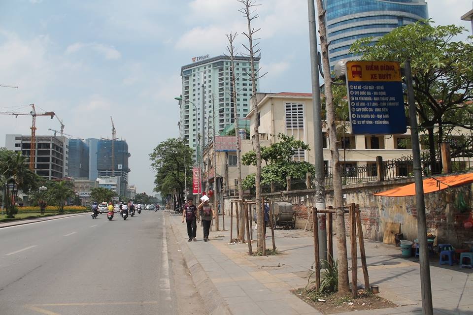 Thanh tra Hà Nội: Cây trồng trên đường Nguyễn Chí Thanh là cây Mỡ - 2 Hàng cây gỗ mỡ trên phố
Nguyễn Chí Thanh. (Ảnh chụp ngày 19/5/2015)