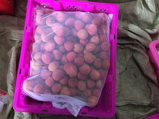 Đến quả vải Việt cũng bị Trung Quốc chèn ép - 1 Đọc những thông tin kinh tế - tài chính mới nhất trên