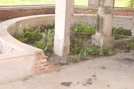 Dự án trở thành nơi cho trâu bò cư trú, phóng uế