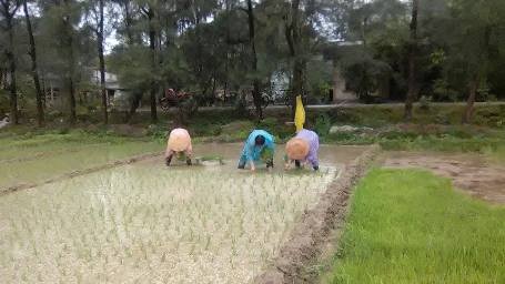 Có nước, người dân đua nhau ra đồng để cày cấy, sản xuất