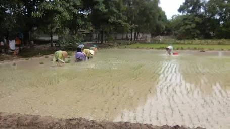 Có nước, người dân đua nhau ra đồng để cày cấy, sản xuất