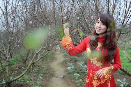 Cùng Hoài Anh Mango lắng nghe mùa xuân về - 7 Cùng Hoài Anh Mango lắng nghe mùa xuân về - 7