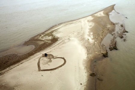 Những màn tỏ tình gây “sốt” nhất năm 2011 - 2