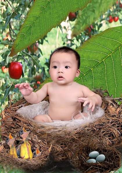 Ba hoàng tử nhí xác lập ngôi đầu bảng - 7 Ba hoàng tử nhí xác lập ngôi đầu bảng - 7
