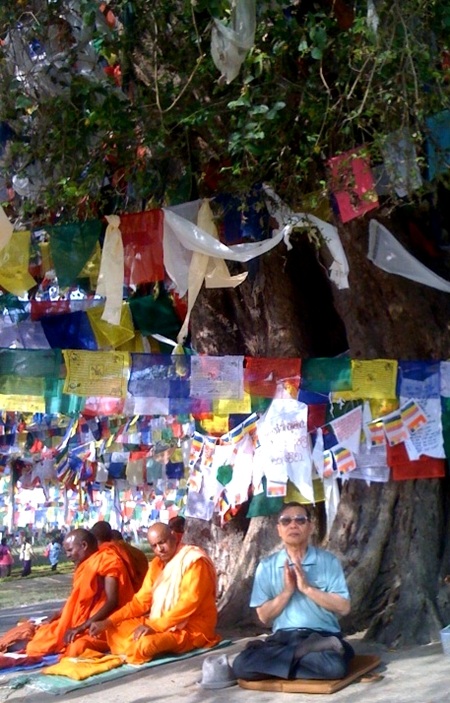 Ngồi thiền dưới bóng cây thiêng ở Lâm Tỳ Ni.