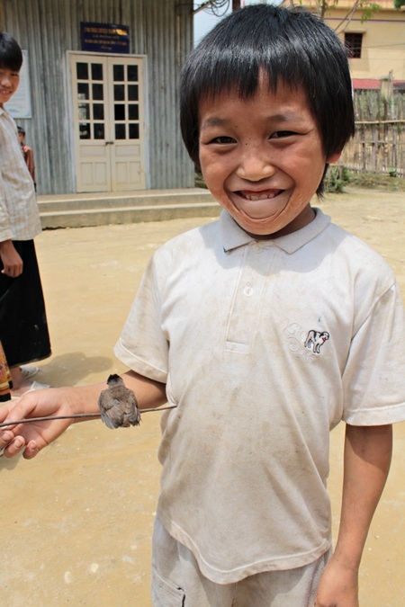  Lại có bé thẩn thơ làm bạn với thiên nhiên, muông thú, chơi với cây cỏ,