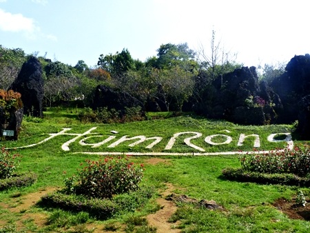 Xuân về trên đỉnh Hàm Rồng