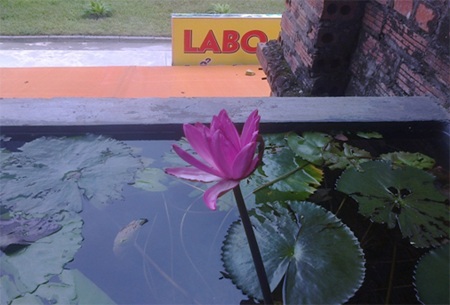 Lẩu đuôi bò LABO: “Miếng ngon nhớ lâu” - lẩu ngon…. cạn nước - 5 Góc nhìn từ tầng 2 LABO quán