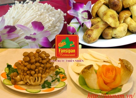 Một số loại nấm tại nhà hàng lẩu nấm Fansipan