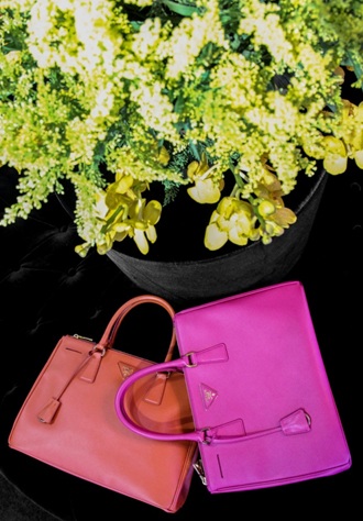 Những mẫu túi xách, giày và khăn choàng Philipp Plein