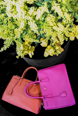 Những mẫu túi xách, giày và khăn choàng Philipp Plein