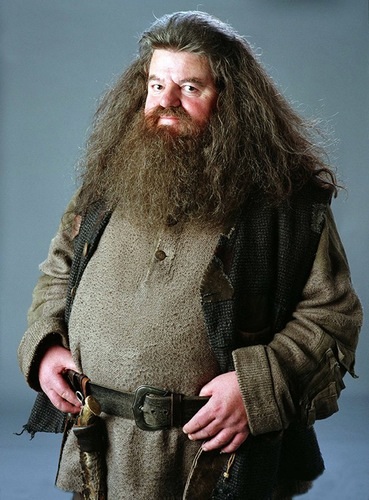 “Sao” phim Harry Potter xưa và nay - 19 Harry Potter