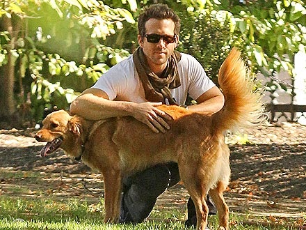 Ryan Reynolds