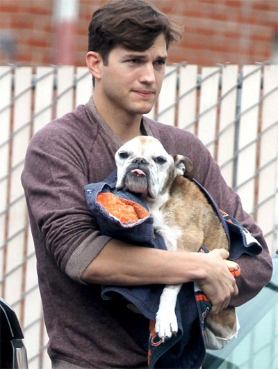 Ashton Kutcher