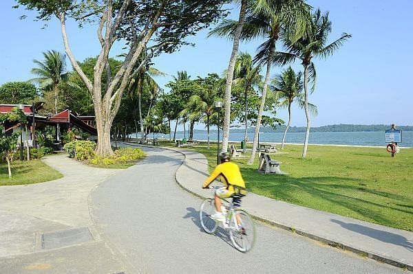 Một chút vận động nhịp nhàng sẽ khiến cho bạn thêm ý thích khám phá