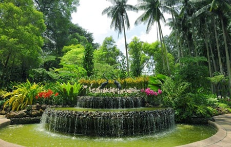 Vườn Bách thảo Singapore được Unesco vinh danh di sản thế giới - 2 Vườn Bách thảo Singapore được Unesco vinh danh di sản thế giới