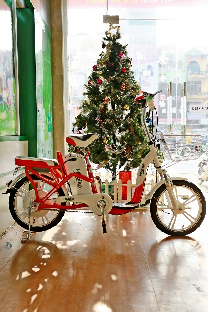 Có điều kiện kinh tế vẫn xếp hàng mua xe điện - 2 Có điều kiện kinh tế vẫn xếp hàng mua xe điện