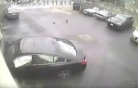 Tài xế là người duy nhất bị thương trong vụ tai nạn này,
đã được khẩn trương đưa vào bệnh viện.